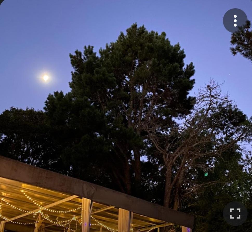Mi Espacio Sur Chascomús Exteriör bild